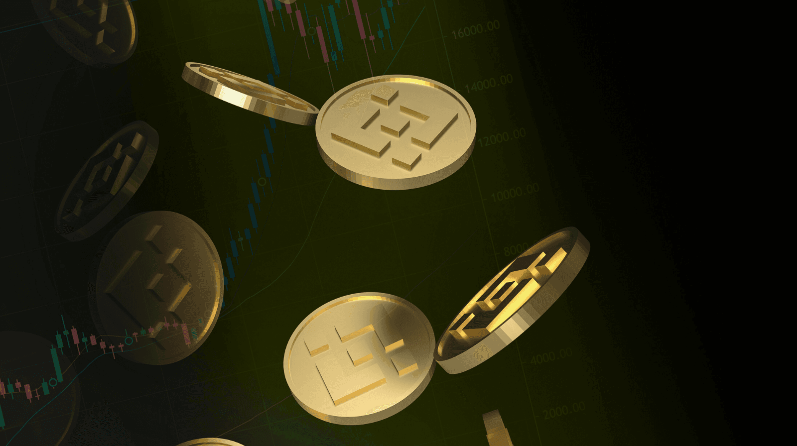 Momentum Builds Around BNB as Altcoins Come Alive